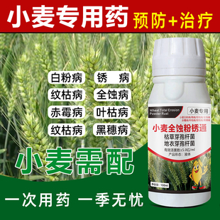 小麦病 小麦杀菌剂锈病纹枯病白粉病黑穗病全蚀病根腐病专用药