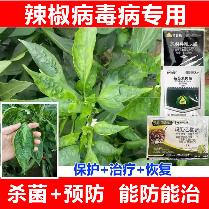 辣椒病毒病专用药辣椒卷叶黄叶花叶青枯病炭疽病病毒病专用杀菌剂