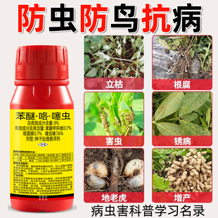 花生专用拌种剂花生防虫抗病杀菌驱鸟拌种药花生专用种衣剂正品