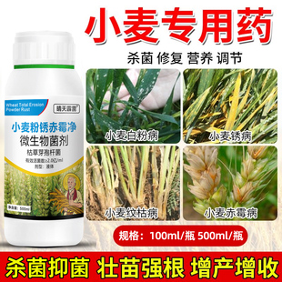 小麦杀菌剂病害专用药锈病纹枯病白粉病黑穗病全蚀病根腐病专用药