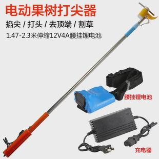 葡萄打尖机打尖器荔枝龙眼迷雾打花梳花剪花枣树百合辣椒修枝