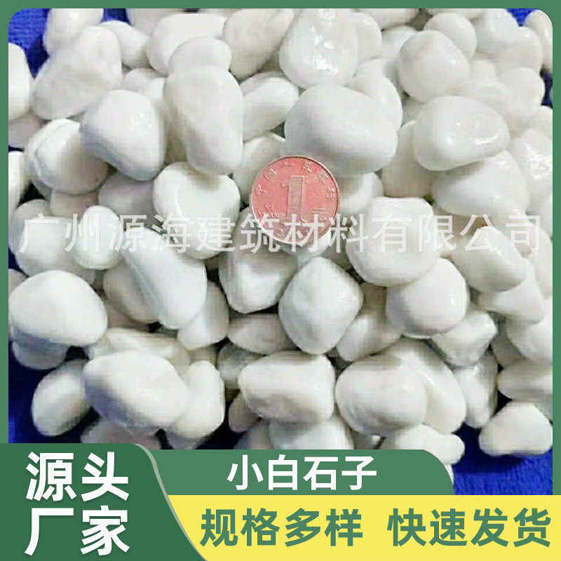 厂家供应桂林小白石子多肉铺面白色石头白色庭院小路装饰花盆石子