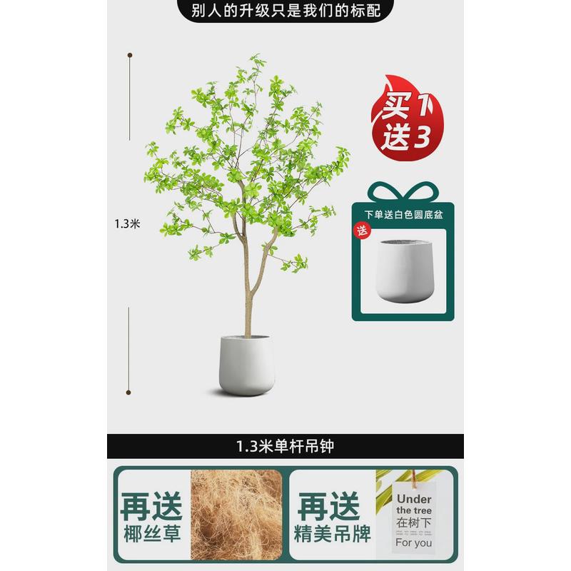 假花花摆设客厅吊钟树摆件盆栽落地大室内轻奢绿植包邮