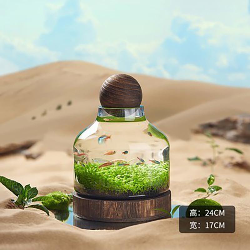 日式木底透明加厚玻璃鱼缸木托瓶小鱼景观生态瓶水培养玻璃花瓶