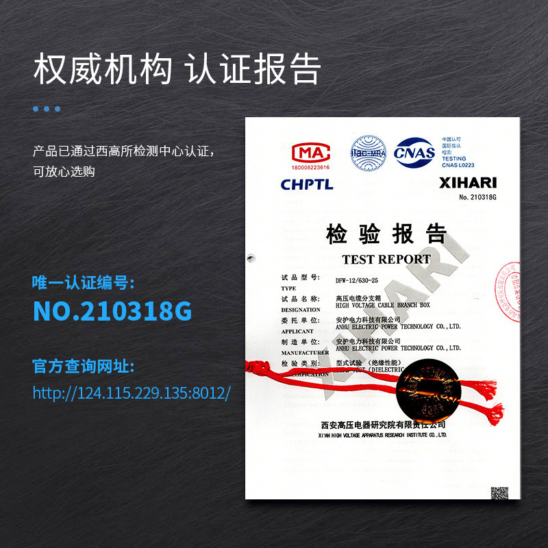 欧式熔高压电缆分支箱dfw-12/630a冷轧铁不锈钢10kv户外西分接箱