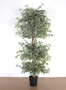 大型室内榕树装饰仿真绿色造景真杆景观树白边榕树绿植盆栽假树