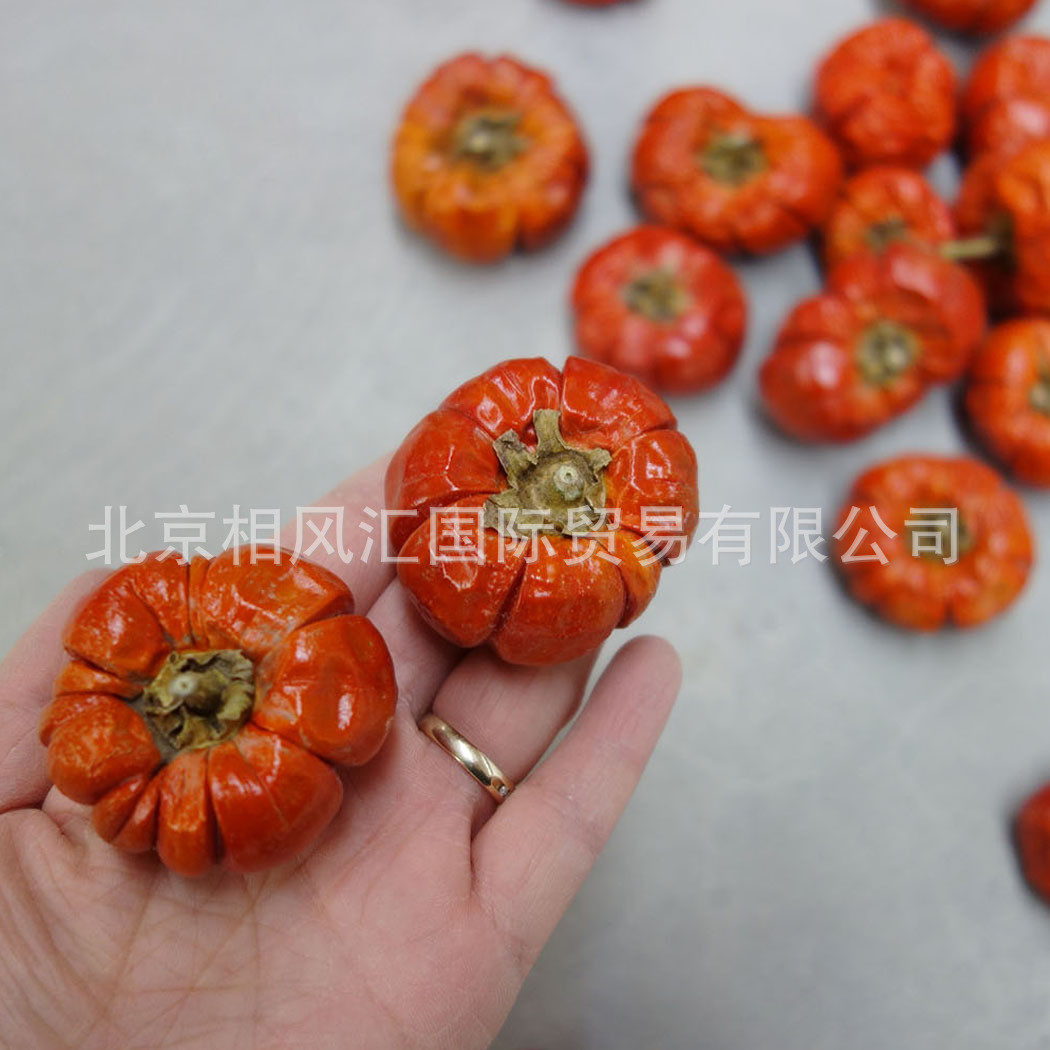 热销【迷你小南瓜】干花干果家居植物天然摆设装饰插花