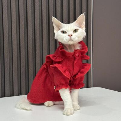纯棉花边公主裙保暖红色过年任发财德文猫无毛猫衣服斯芬克斯猫