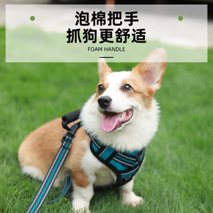 狗狗牵引绳宠物胸背尼龙狗绳胸背带大型犬宠物用品工厂直销