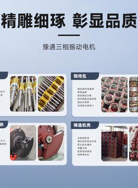 震动/o/u振动电机380v工业三相异步纯铜仓壁高频yzs脱水直线筛