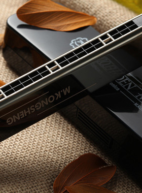 孔声24孔黑色复音口琴KS-2403GM成人演奏初学练习乐器口琴