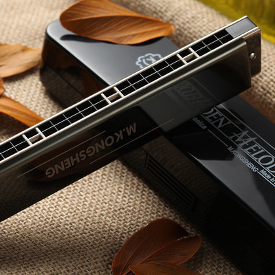 孔声24孔黑色复音口琴KS-2403GM成人演奏初学练习乐器口琴