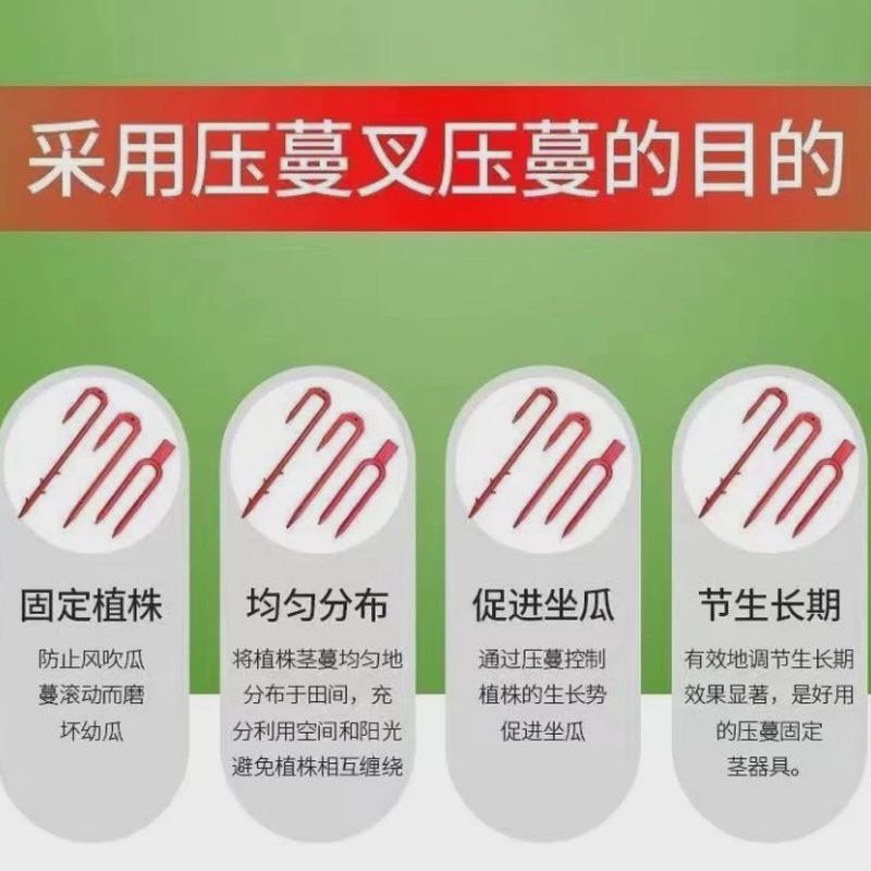 草莓叉子育苗压蔓器草莓瓜果育苗塑料藤蔓植物固定器叉生根定植