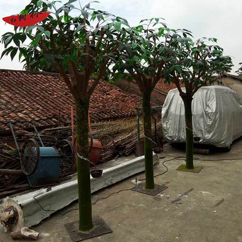 红树林厂家供应仿真橡胶树绿色植物植物造景装饰盆栽摆件