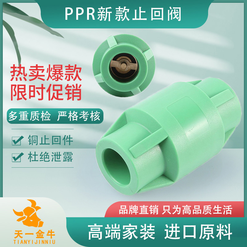 天一 金牛202532PPR止回阀单向阀逆止阀4分1寸PPR水管管件配件