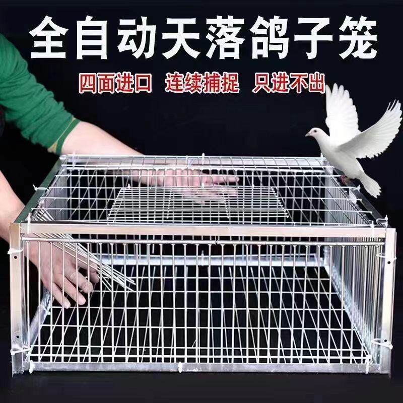新款天落笼赛鸽加粗全自动养殖厂动物加密款室外收集鸽具有进厂家