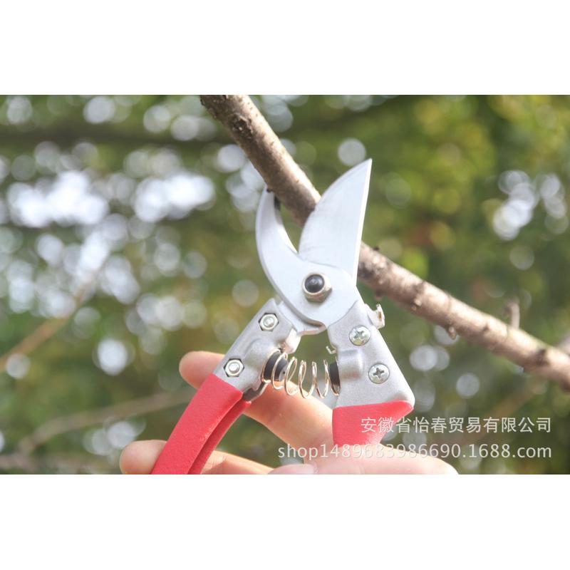 树枝剪农友刘盛园艺剪刀修枝剪粗枝剪花剪台湾果树剪采果剪