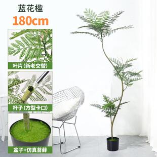 家居客厅大型植物装饰仿真树散尾葵仿真蓝花楹盆栽南天竹假