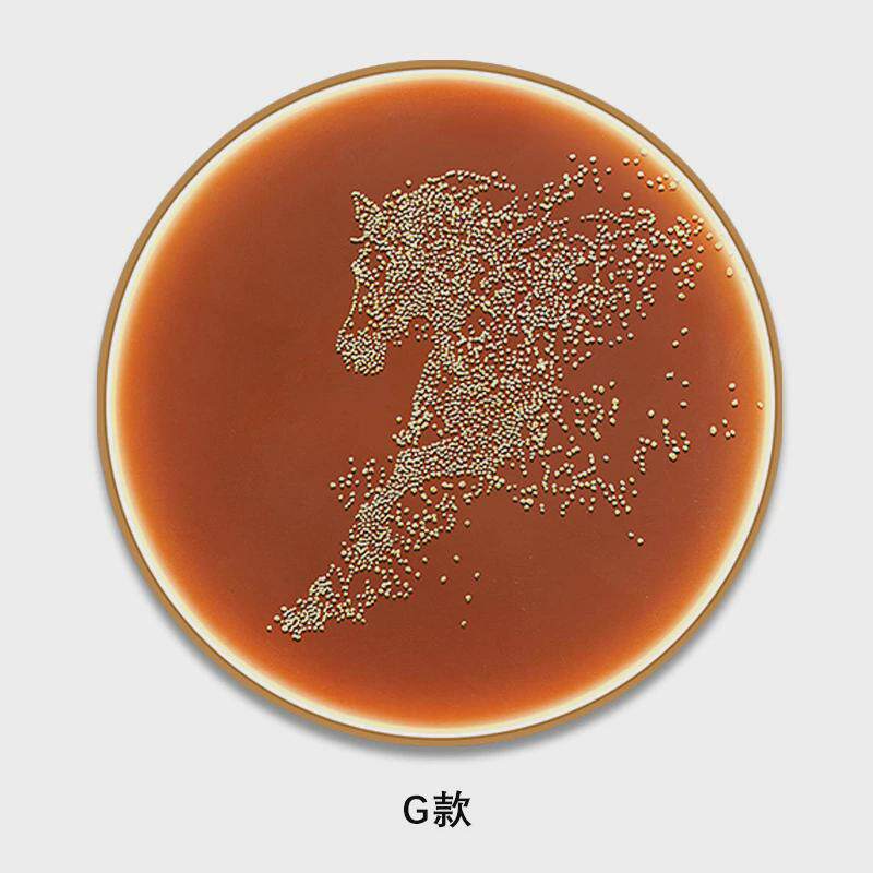 新中式立体客厅装饰画发光灯带实物画圆形玄关钻茶室晶走廊挂画