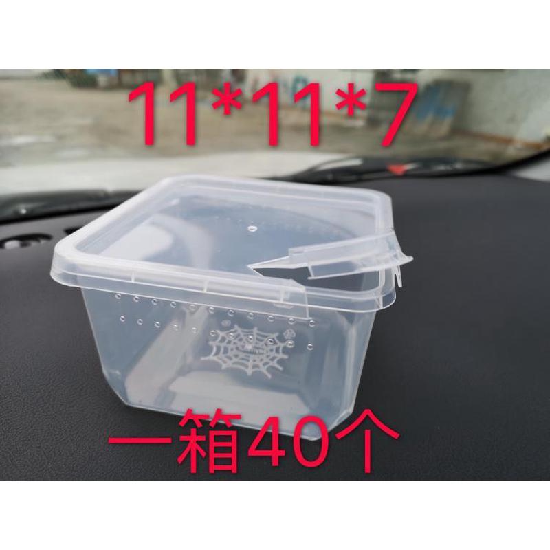 yc小方盒树地穴高端宠物蜘蛛蝎子幼体饲养盒透明爬虫盒饲养盒