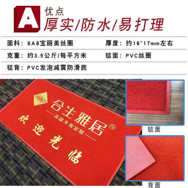 迎宾地毯定制logo电梯广告公司酒店地垫订制门垫印字图案定做尺寸