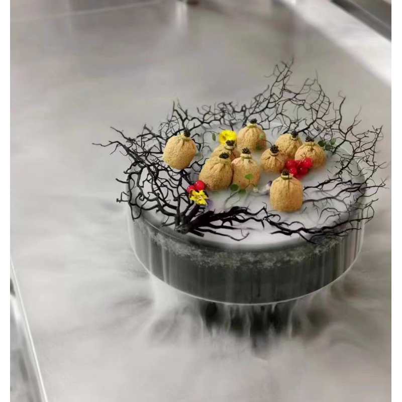 冷菜装饰天然珊瑚树意境真珊瑚海铁树酒店创意摆盘垫盘珊瑚枝装饰