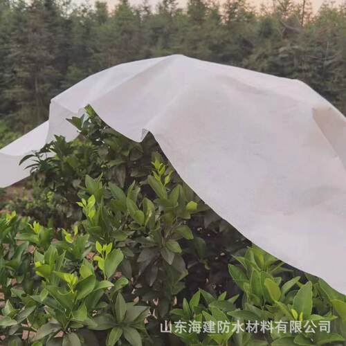 柑橘防寒布果树保温布园艺防霜果园防冻茶树布沃柑防霜防寒无纺布
