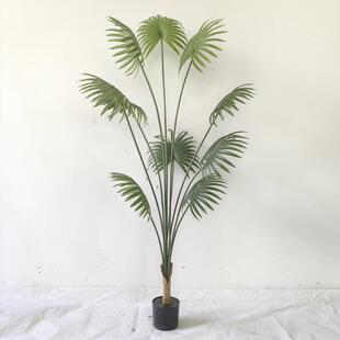 仿真植物软装装饰蒲葵绿植盆栽摆件仿真加州假扇葵棕榈树现货