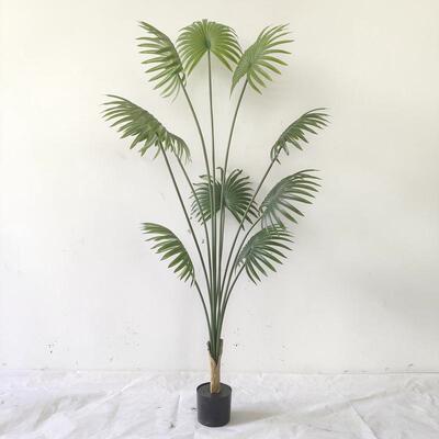 仿真植物软装装饰假绿植盆栽摆件仿真加州蒲葵扇葵棕榈树现货