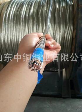 铜绞线TJ-120mm2TJX-150平方185/240镀锡铜绞线铜排40*4今日价