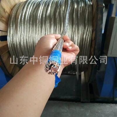 铜绞线tj-120mm2tjx-150铜排185/240镀锡铜绞线平方40*4今日价