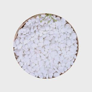 饰 雪花白多肉盆栽铺面白色机制鹅卵石鱼缸造景工程铺路小石子装