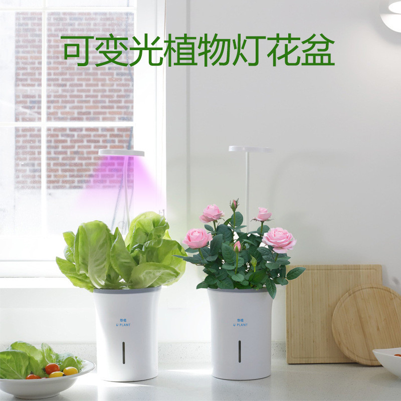 植物灯花盆新品自动浇水简约桌面绿植个性摆件盆栽白色