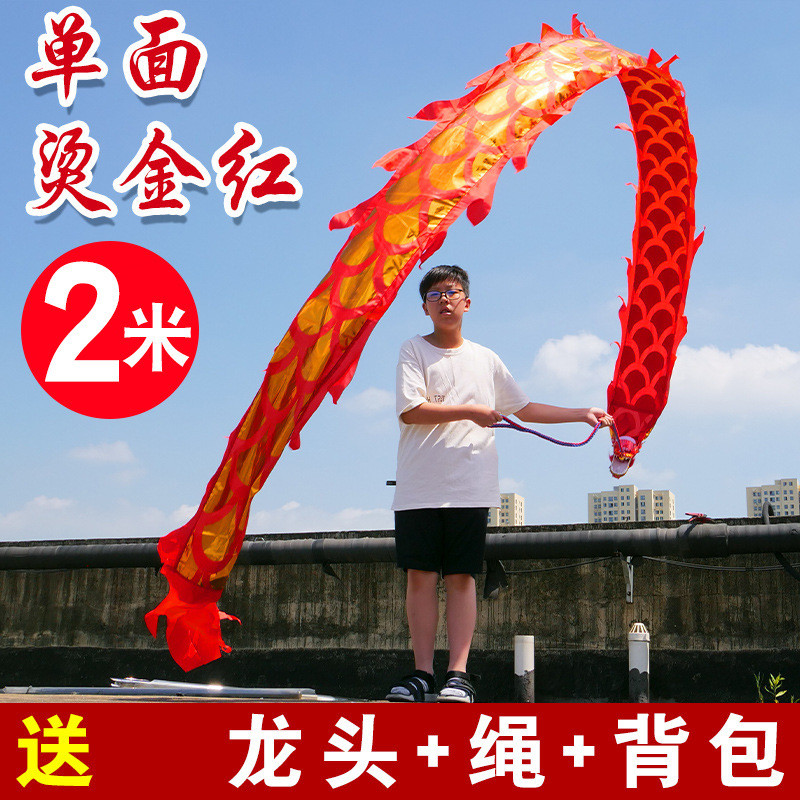 儿童舞龙彩带健身彩带龙甩龙广场舞校园新款中国龙龙头表演道具