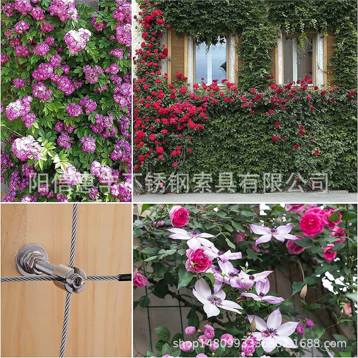 绿色墙体不锈钢轮毂，攀缘植物用卡和，藤蔓头绿色墙体用钢丝绳索