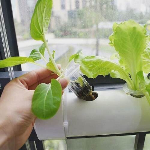 阳台种菜种植壁挂式管道水培蔬菜无土栽培设备自动水耕多层机架