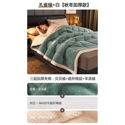 毛毯被子床上用铺床沙发午睡单人空调毯宿舍学生珊瑚法兰绒盖毯被
