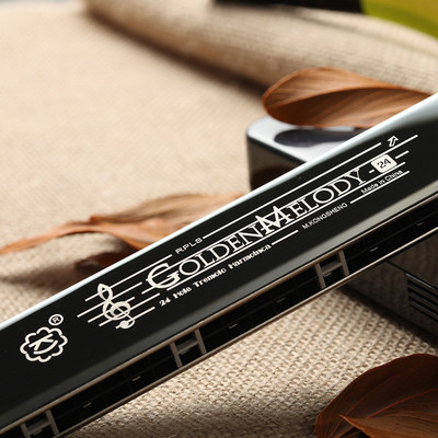 孔声24孔黑色复音口琴ks-2403gm练习演奏初学成人乐器口琴