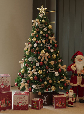 圣诞节新款纯pvc圣诞树家用摆件大型圣诞树室外室内装饰品摆件