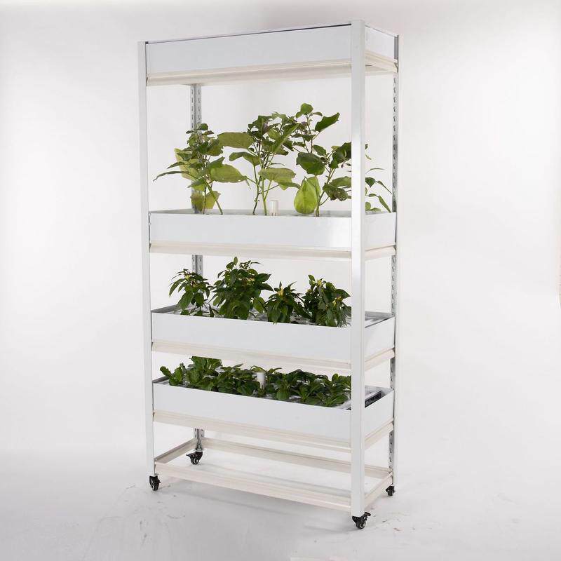 水培植物大棚设备设备工厂设备家庭种菜设备阳台种菜设备4922