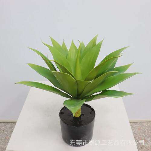 仿真植物龙舌兰客厅装饰摆件办公室家居盆栽仿真绿植多肉盆景假花
