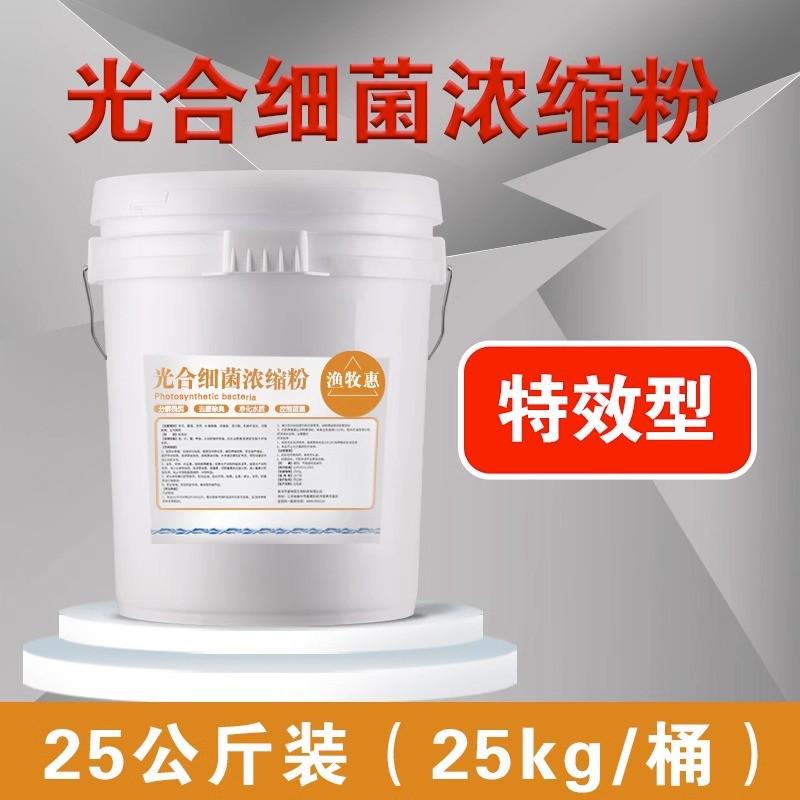 光合净化菌种剂水产养殖鱼塘细菌水质降解亚盐氨氮光合细菌培养基