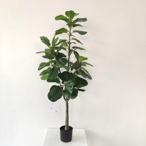 常青仿真植物装饰北欧假绿植盆栽摆件仿真现货粗杆加密琴叶榕