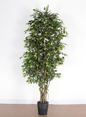 大型室内造景装饰仿真绿色景观真杆榕树树白边榕树绿植盆栽假树