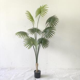 仿真植物软装装饰假绿植盆栽摆件仿真加州蒲葵扇现货棕榈树葵