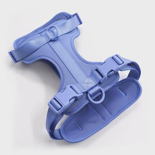 爆品项圈宠物狗狗胸背带套装pvcwildone牵引绳中小型夏季透气