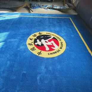 武术跆拳道腈纶地毯舞蹈室健身房羊毛拼接地毯垫子场地表演地垫
