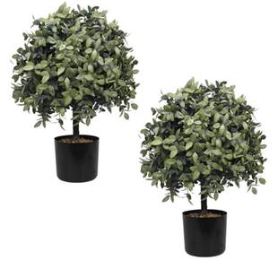 仿真植物黄杨木杨塑料梅叶人造盆栽球树户外内灌木前大摆件