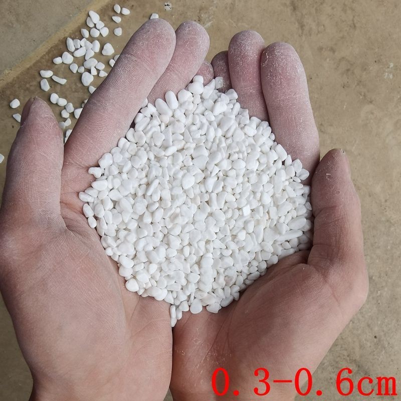 鹅卵石天然小石头雨花石白色小石子白石子花盆盆栽多肉装饰铺面鱼