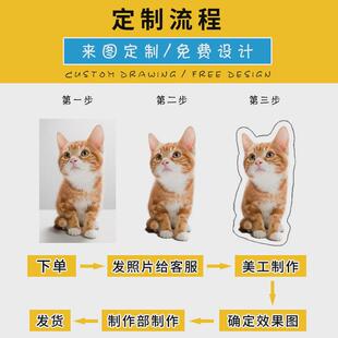 靠枕异形等身人物宠物枕头猫咪来图可印照片真人diy抱枕